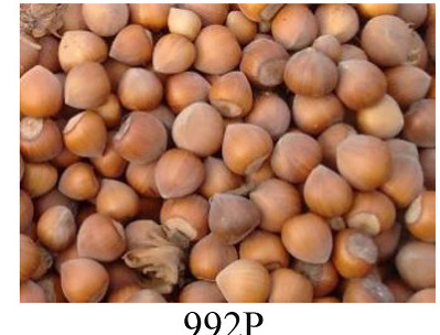Faza 992 — nakon berbe
